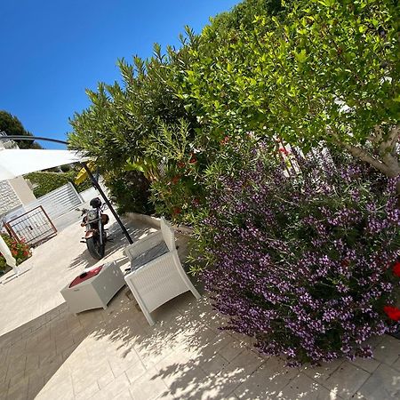 Lagarolina Del Conero B&B Sirolo Exteriér fotografie